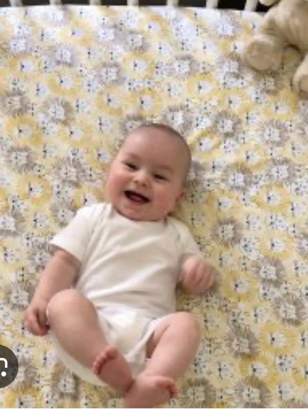 Pottery barn kids organic cotton emery lion crib sheet